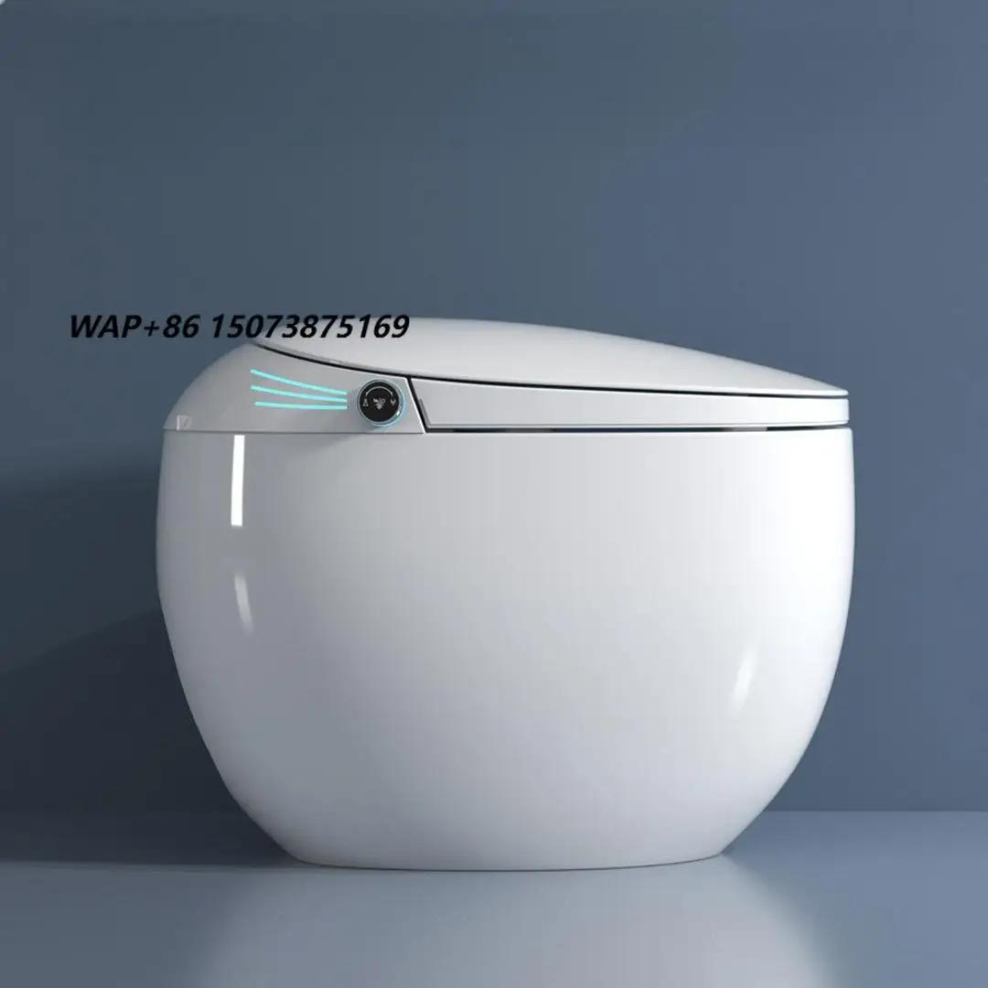 Premium Luxury Smart Toilets Automatic Bathroom Luxury Sanitary Toilet Bowl One Piece Floor Smart Intelligent Wc Toilets