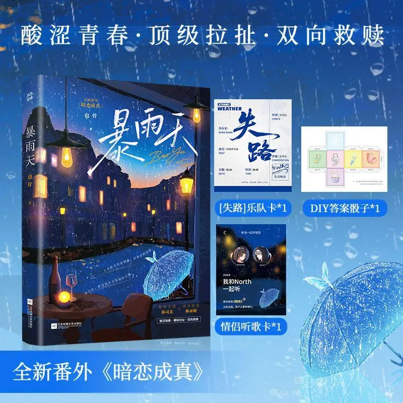 

Stormy Day Chinese BL Novel Ye Gu Bittersweet Youth Mutual Salvation Fiction Book With Card Dice Gifts