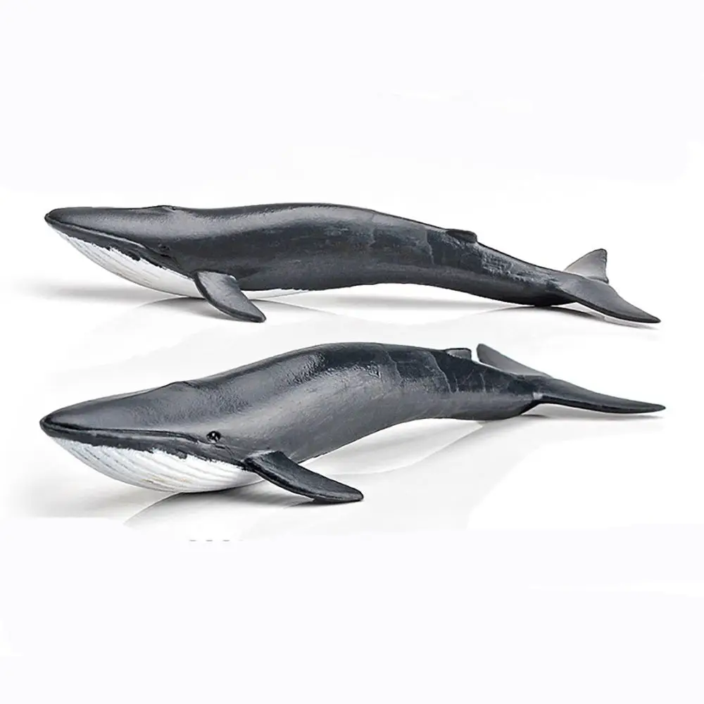 

Набор из 12 фигурок морских животных: дельфин, тюлень, кит, акула, пингвин, черепаха.