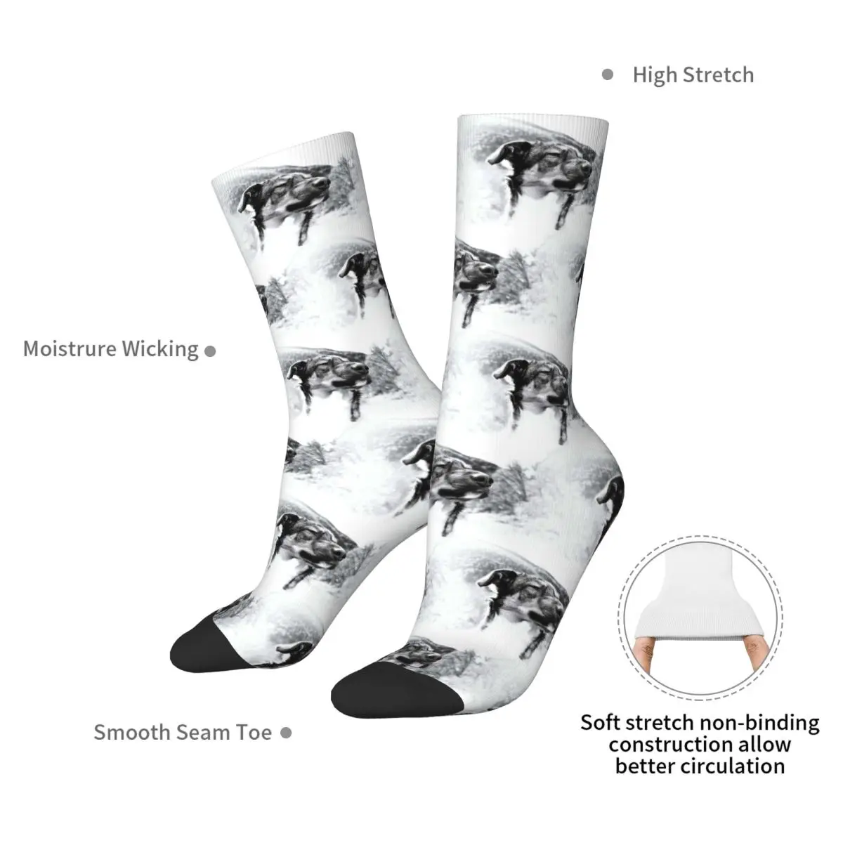 Artistic Dog Photography, Pet Portraits Socks Harajuku Stockings All Season Long Socks Accessories for Unisex Christmas Gifts