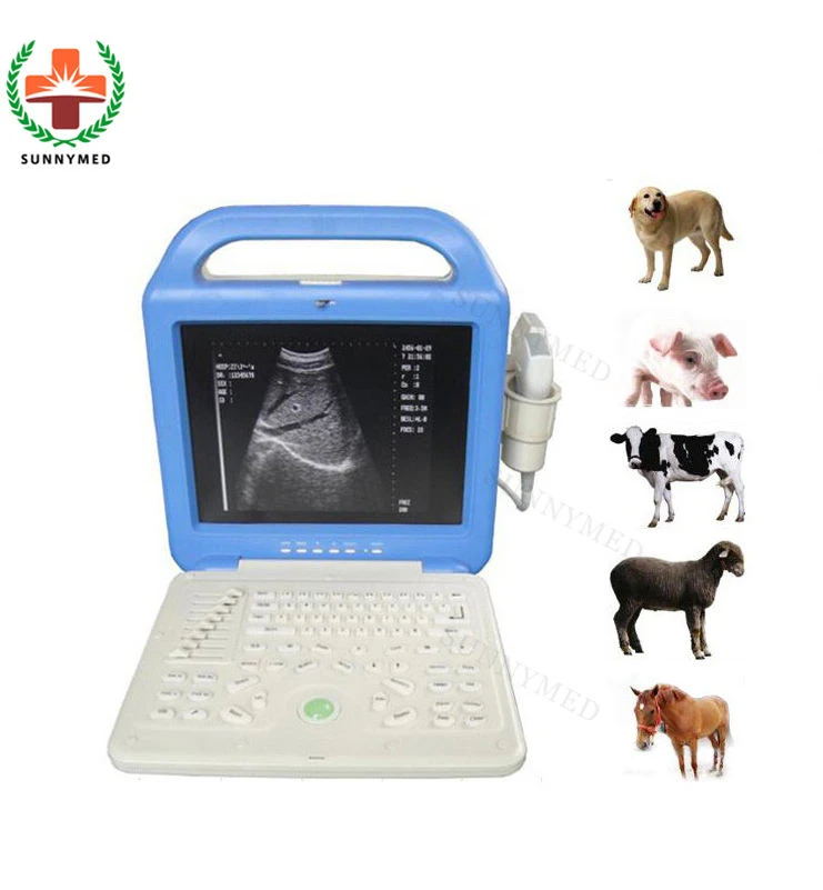 51353A Competitive Laptop 2D Hand-carried Ultrasonic Scanner Laptop pet vet portable ultrasound machine with CE