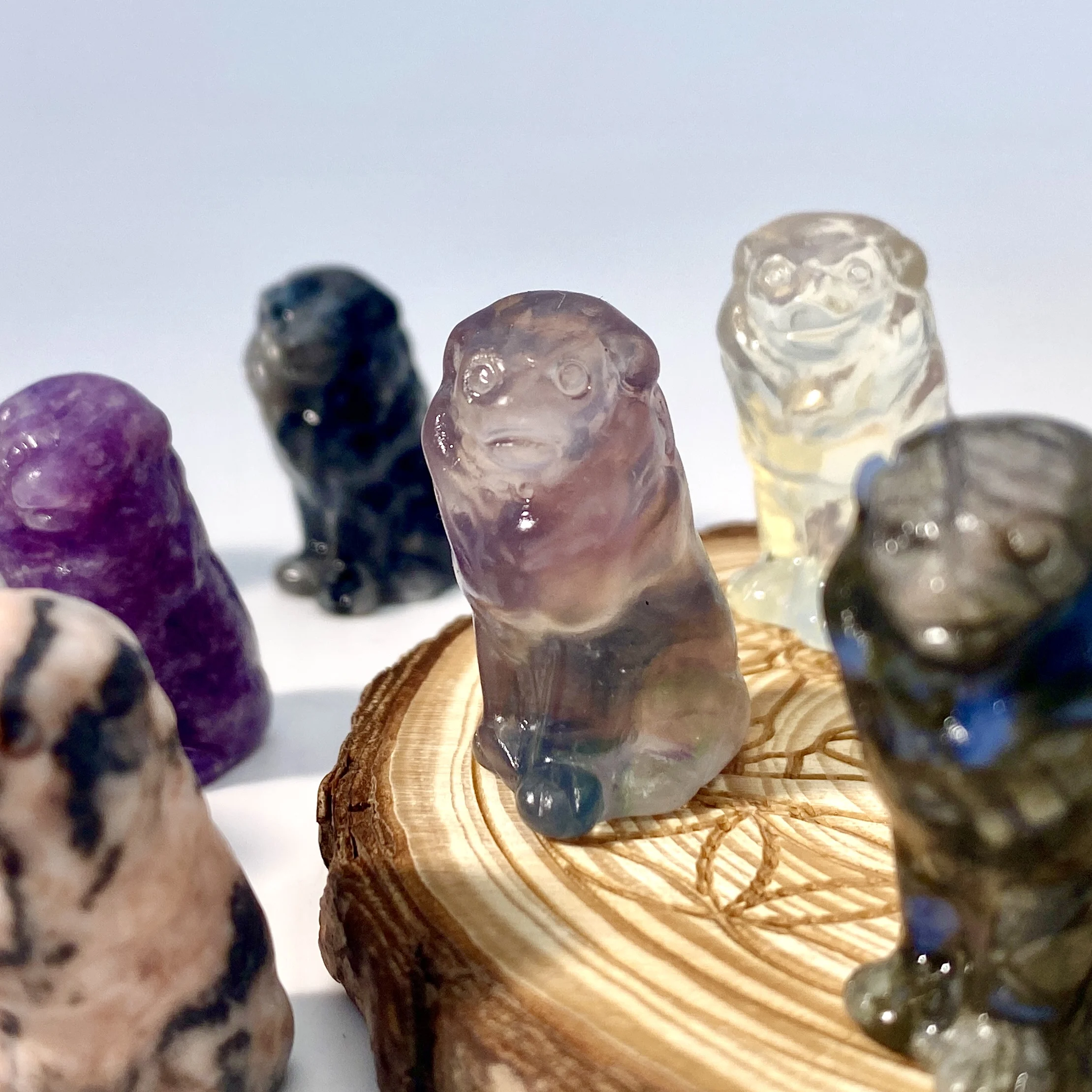 نحت كريستال طبيعي للأسد عشوائي ، مجوهرات أحجار كريمة ، كريستال شفاء لامع ، هدية عيد ميلاد للنساء والصديقة ، 1 *