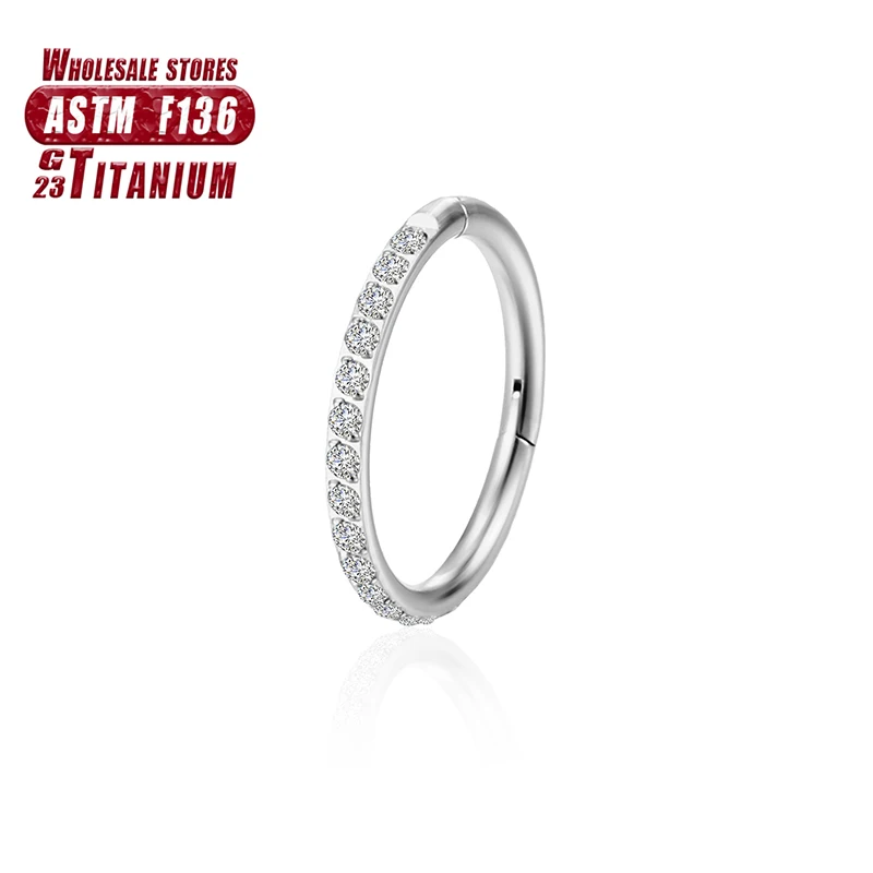 Women's Titanium ZC Nose Rings & Hinged Segment Earrings, Versatile