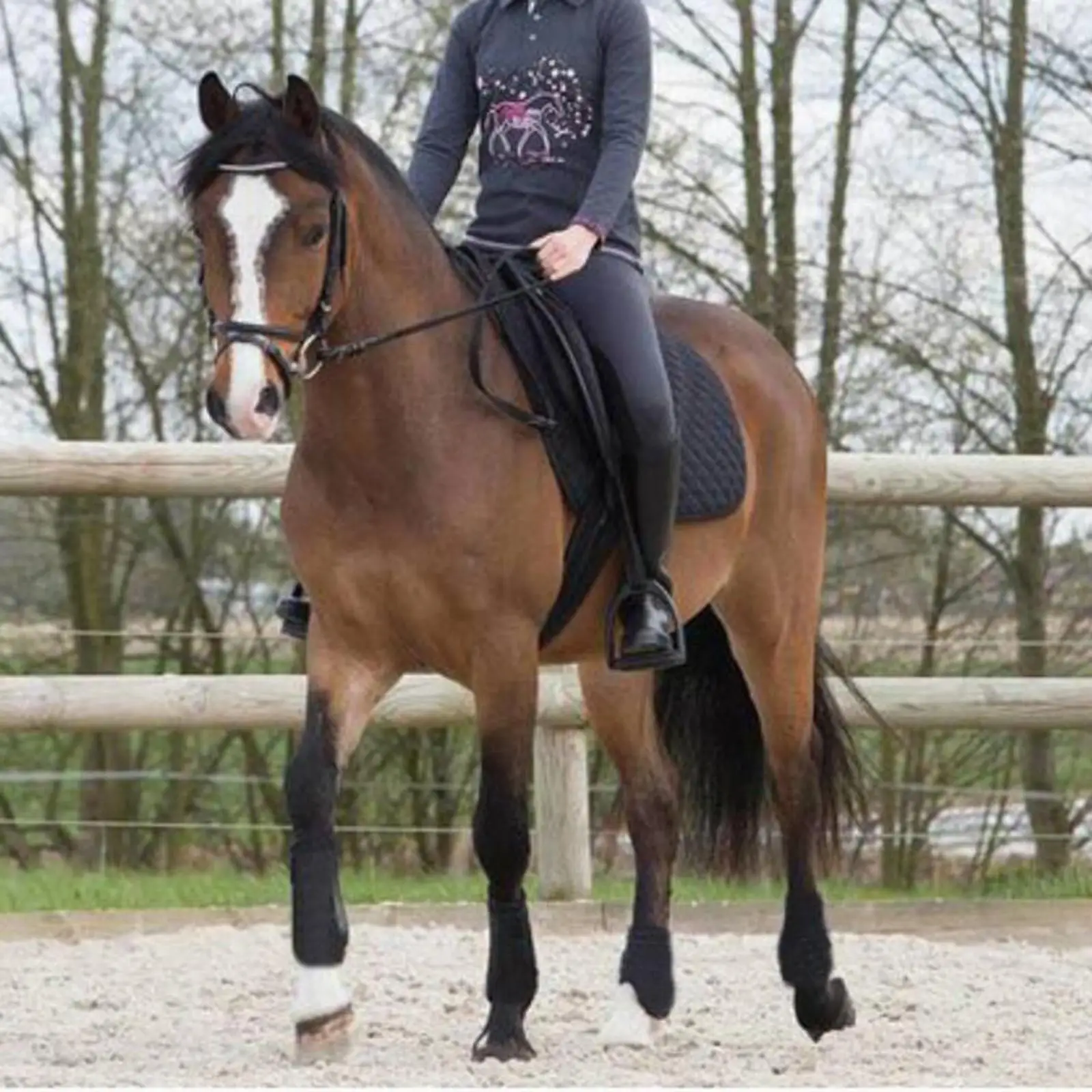 Equine Dressage Boots Elastic Shockproof Tendon Guard Boots Equestrian Riding Equipment for Horse Training and Racing