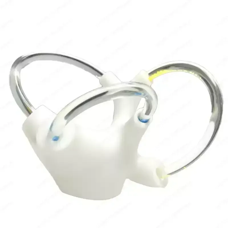

semicircular canal otolith anatomy model Skeletal cochlear inner ear structure Cerebroneural vestibular rehabilitation.