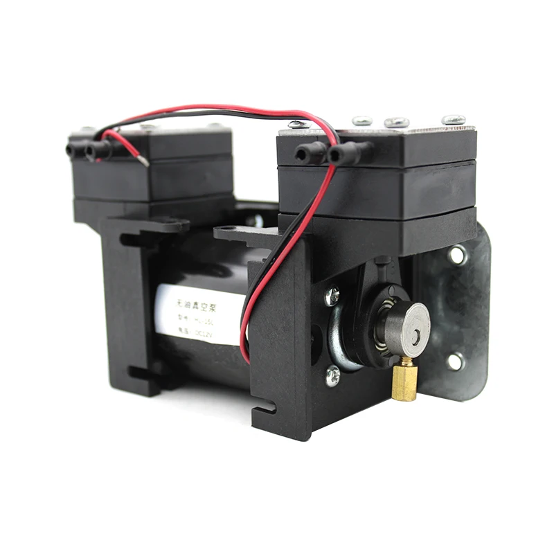 12V/220V High Positive Negative Pressure Vacuum Pump Large Beauty Instrument Mute Double Head Diaphragm Pump Micro Air Pump