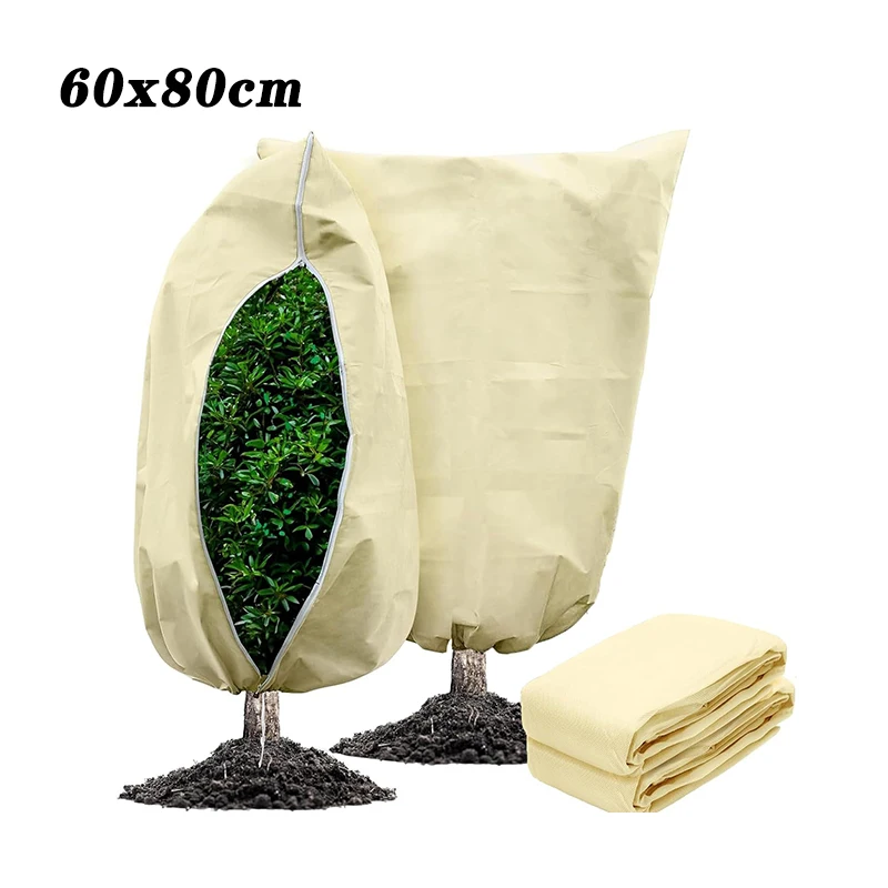 Variant: 60x80cm Yellow