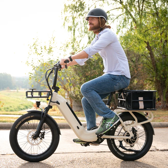 

STLF US Stock Women's 52V 15AH Lithium Battery Electric Cargo Bicycle Commute City Bicycle Low Rider Step Aluminum 750W Brushles