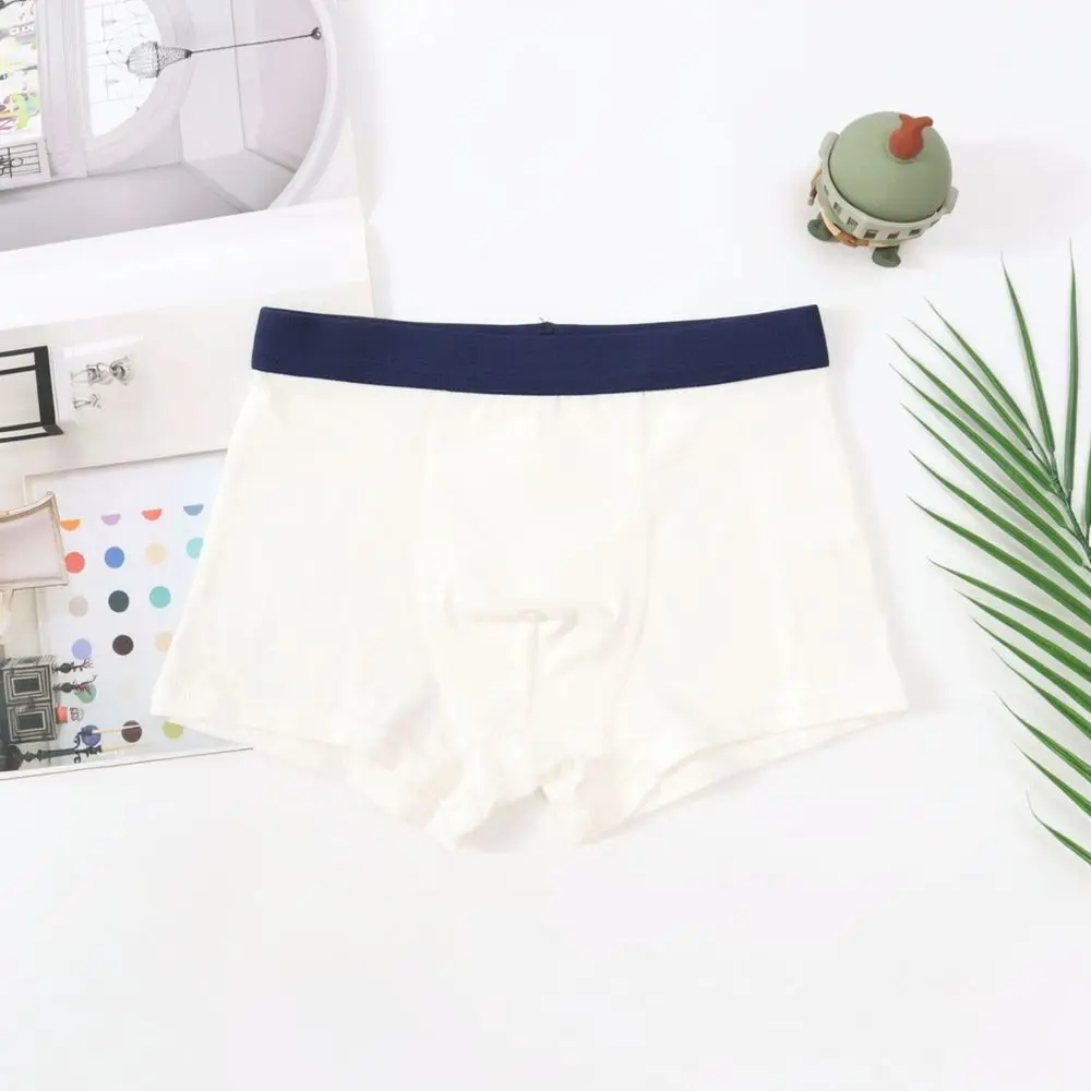 Kids Cotton Underwear Boys Boxer Briefs Breathable Soft Comfortable Children Underpants Toddler Shorts For Suinian Daily - view 5