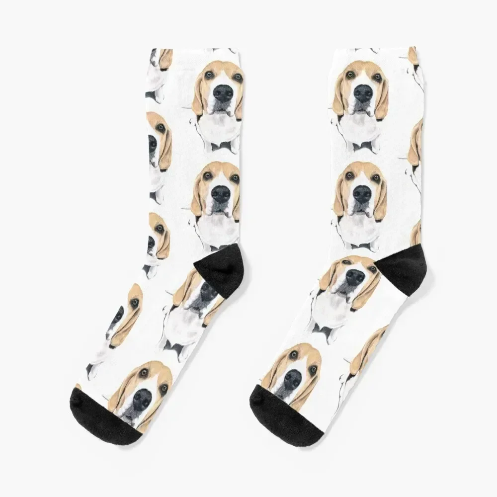 

Beagle Socks heated new in's designer brand crazy Socks Girl Men's floral cycling luxe Men's Socks Women's