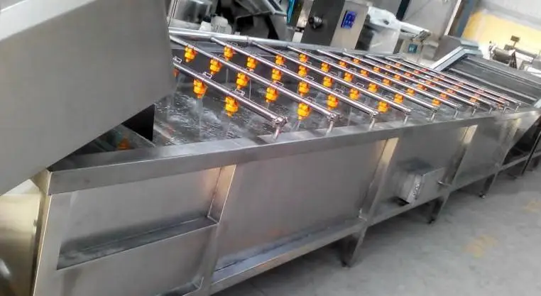 Industrial Commercial Vegetable Cleaner Fruit Washing Machine Bubble Shrimp Cleaning Machine