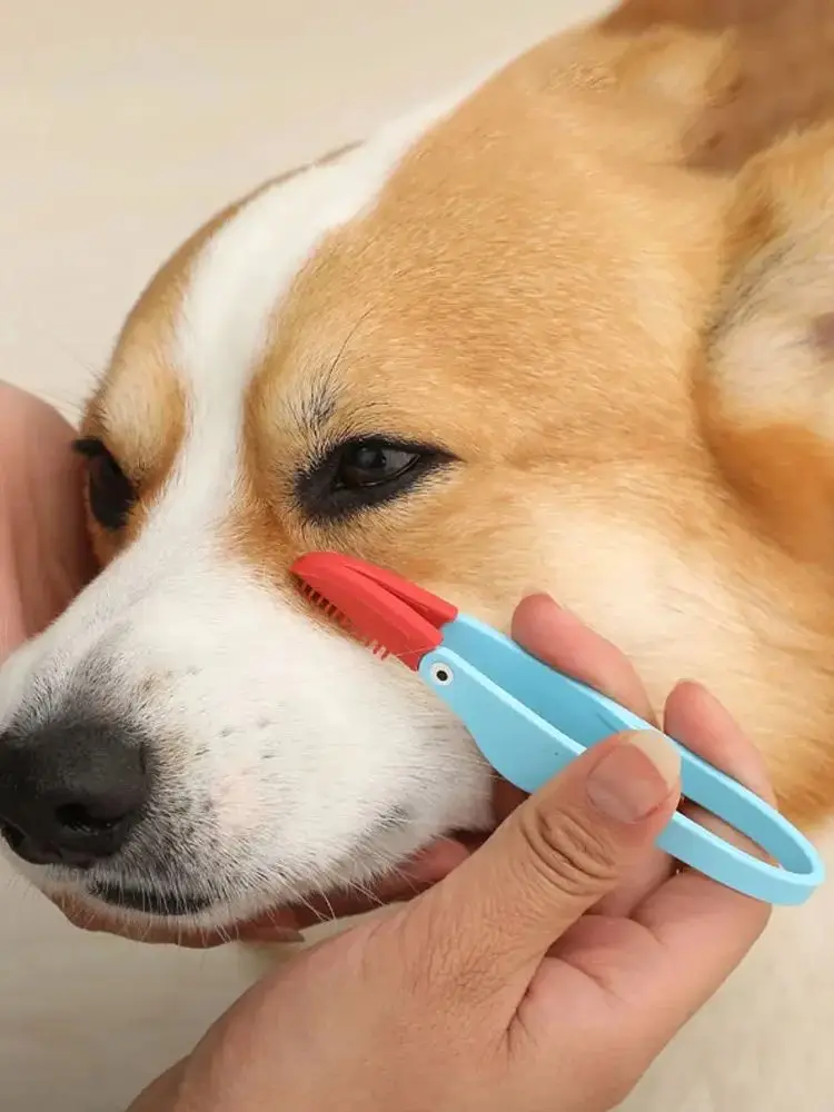 Outils de toilettage pour animaux de compagnie, peigne pour les yeux de chien, dissolvant de déchirure en silicone, brosse pour petits chats et chiens