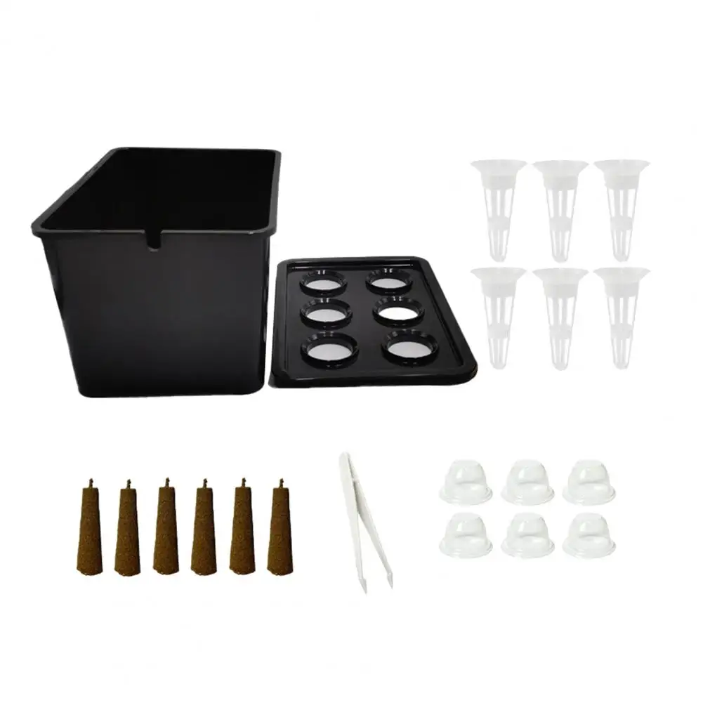

Hydroponic Grow Kit for Beginners 6-Hole Planting System Home Herb Planter Easy Hydroponic Setup for Indoor Gardening