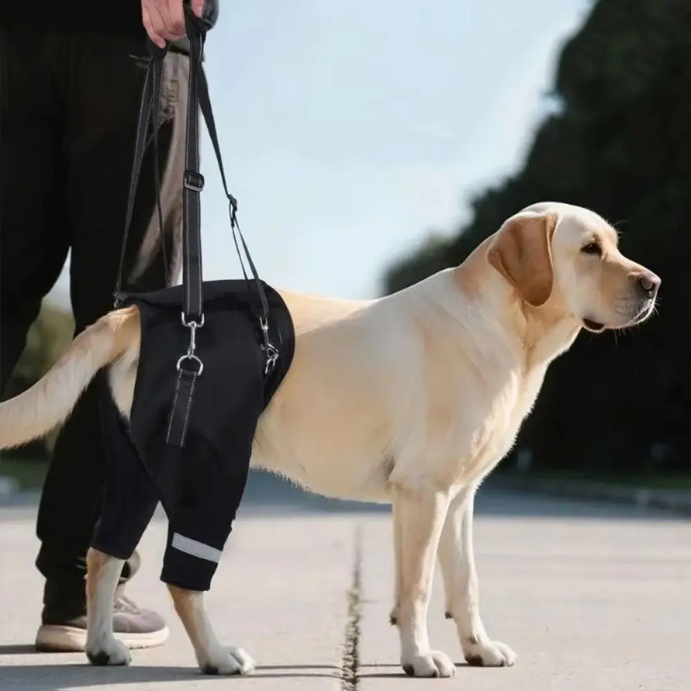 

Legs Hip Support Dog Lift Harness Black Adjustable Pet Aid Assist Tool Reflective Strip Soft Padded Dog Rear Leg Support