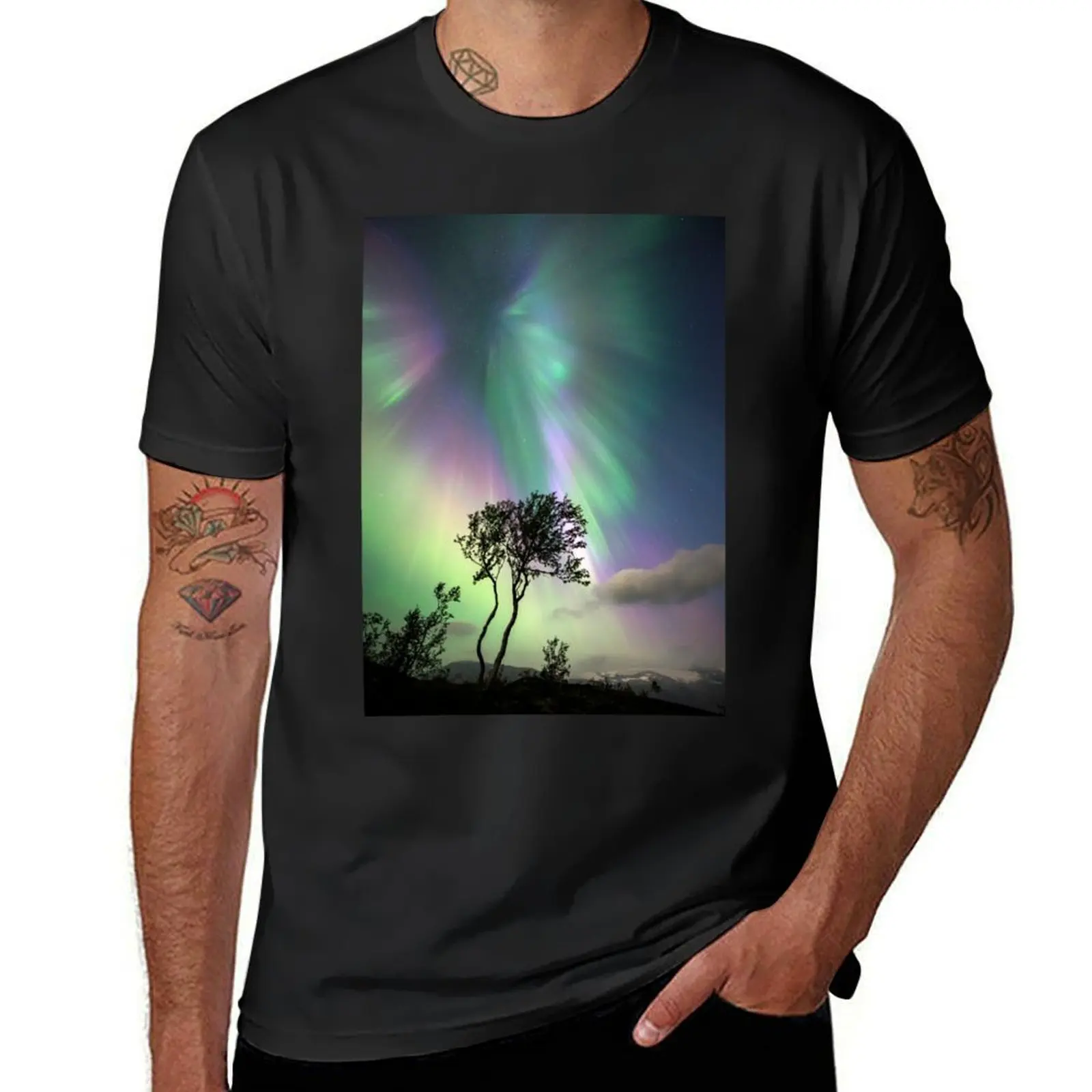 Aurora borealis, Norway (C023/2380) T-Shirt new edition heavyweights mens vintage t shirts