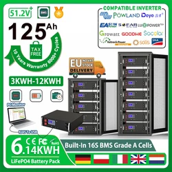 バッテリーパックLiFePO4,スマートbms,rs485,pcモニター,51.2v,100ah,200Ah,230ah,280ah,300ah,6.14kwh,6000サイクル16s,税金なし