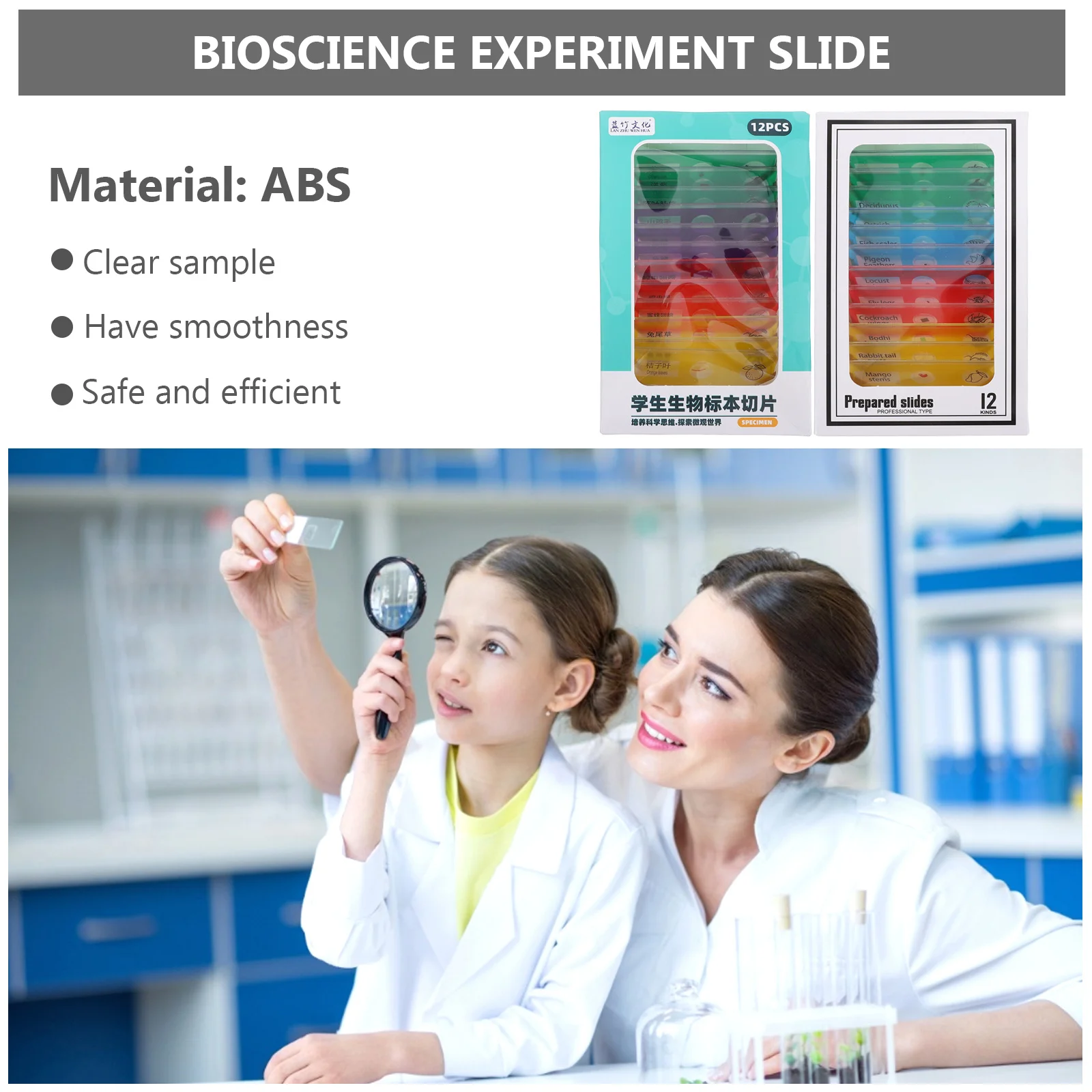 Kit di campioni biologici per vetrini per microscopio educativo da 24 pezzi Aula per esperimenti scientifici per bambini
