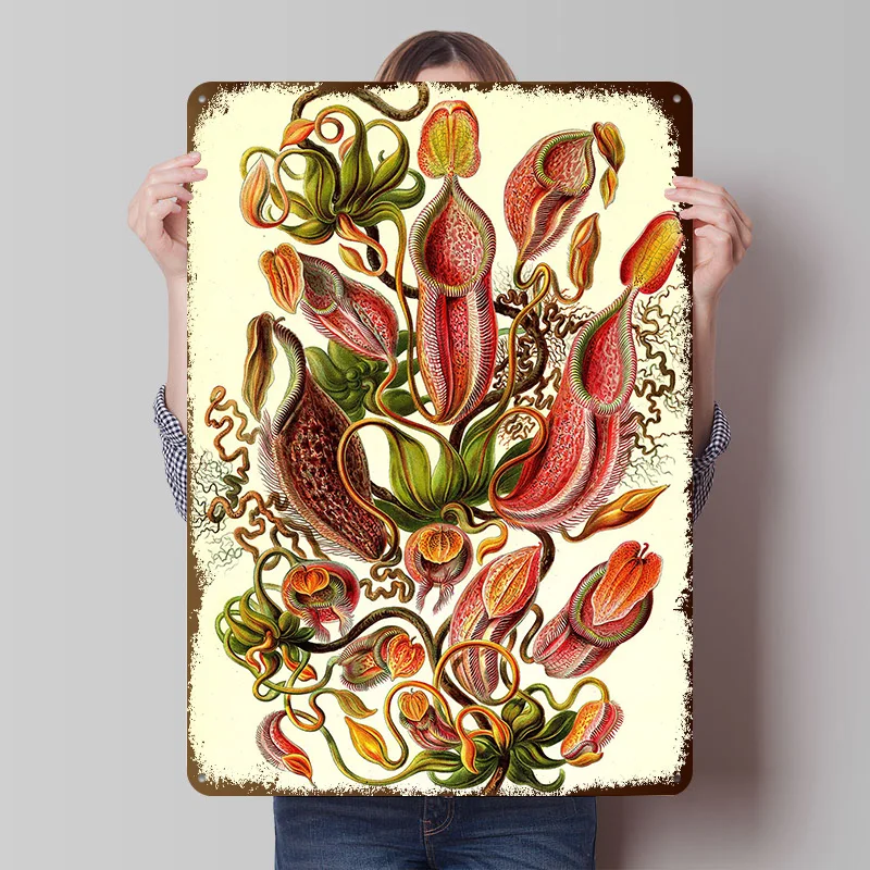 Art Forms in Nature Metal Poster Custom Wall Art Retro Vintage Tinplate Signs for Gaming Room Decoration Cozy Home Decor Items