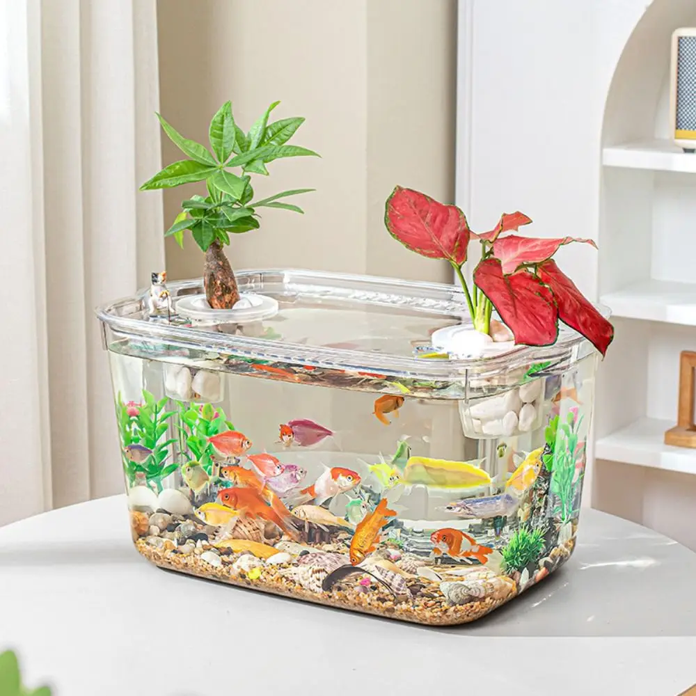 Fall Prevention Explosion-proof Plastic Fish Tank PET Transparent Tabletop Fish Tank Water Plant Tank