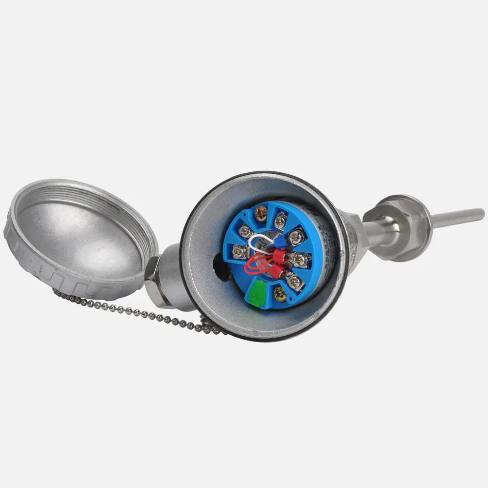 0.5%FS Industrial WR-202 PT100 Temperature Transmitter with OEM/ODM Customization Stainless Steel 4-20mA Output