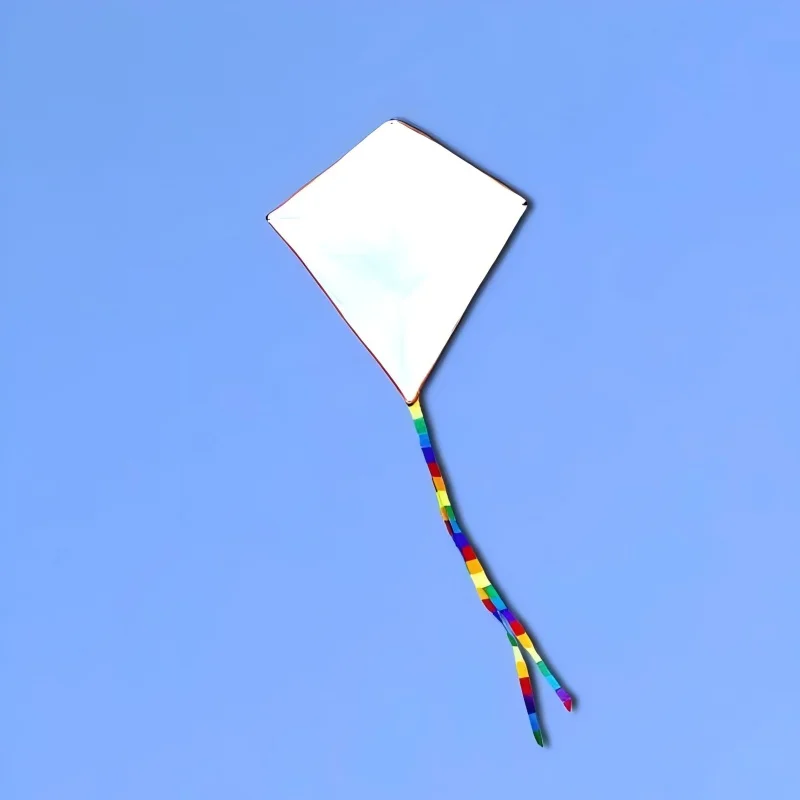 grote blanco diy kite 100 stks/partij onderwijs schilderen kite string lijn outdoor speelgoed vliegende albatross kite fabriek