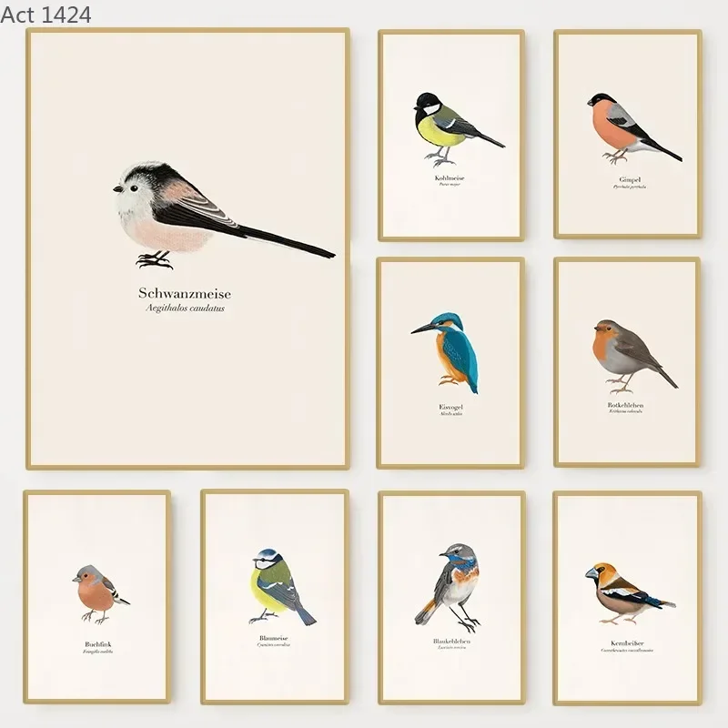 Native Birds Species Collect Illustration Poster Nature Bird Animal Minimalist Wall Art Canvas Painting Posters for Home Decor