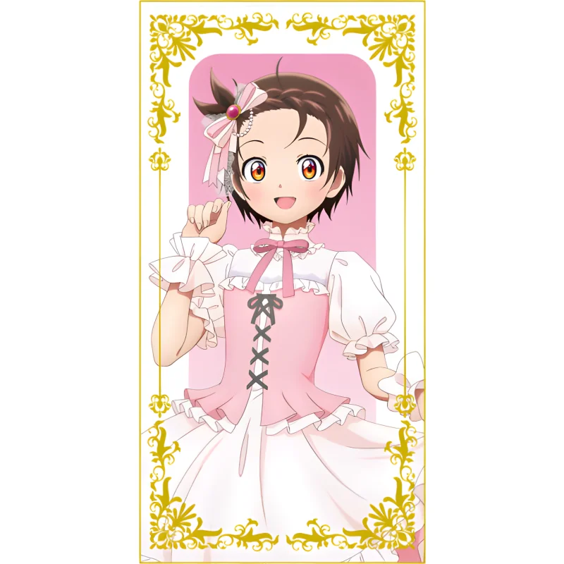 Anime Medalist sukasa Akeuraji Acrylic Figure Stand Model Keychains Desktop Ornament Holiday Gifts  Exquisite Products