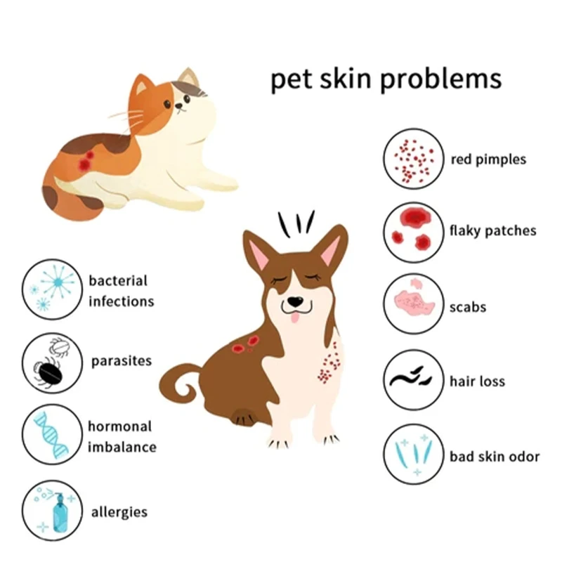 LXAF Pet Skin Care Pet Hair Regrowth Serum Pet skin Repair Essence Pet Wound Healings Dog Hair Regrowth Dog Skin Wound images - 6