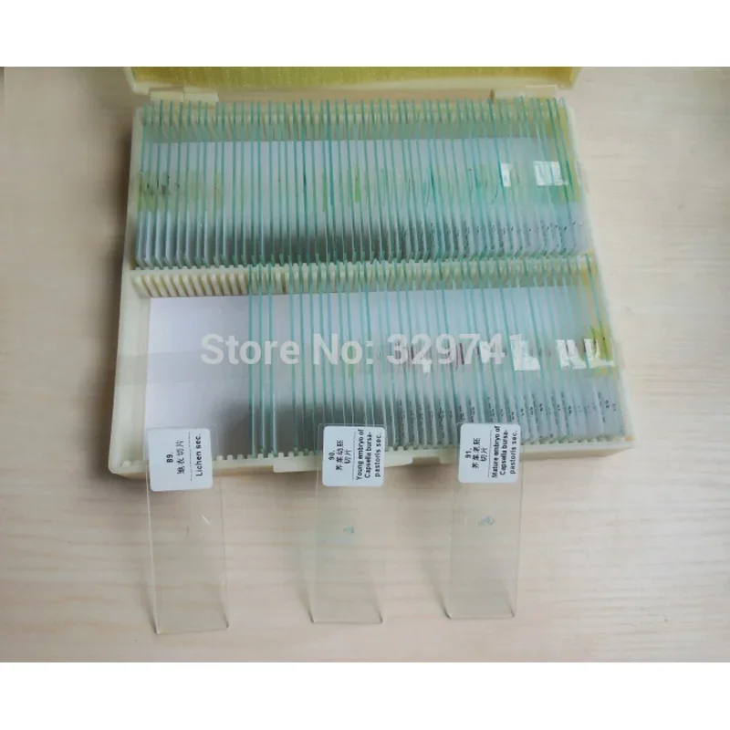 100 pcs Professional Type Prepared Glass Microscope Slides  in Plastic Box for Student and Lab