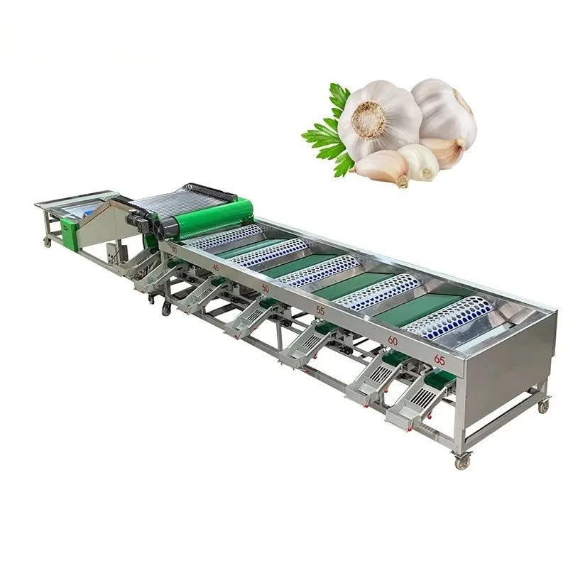 آلة فرز حجم الثوم الرقمية المتقدمة، معالجة دفعة صغيرة من الدرجة الغذائية