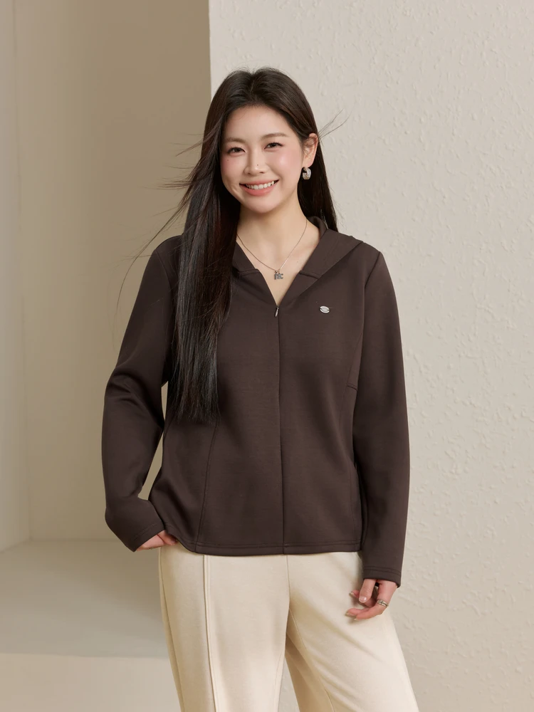 

Свободная удобная толстовка с капюшоном для женщин больших размеров, весенняя новинка, QLXQL0829JHT, с длинными рукавами