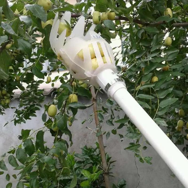 Cesta de jardín con cabezal recolector de frutas, herramienta de recolección de frutas de plástico multicolor, suministros de recolección de Jujube de Bayberry agrícola