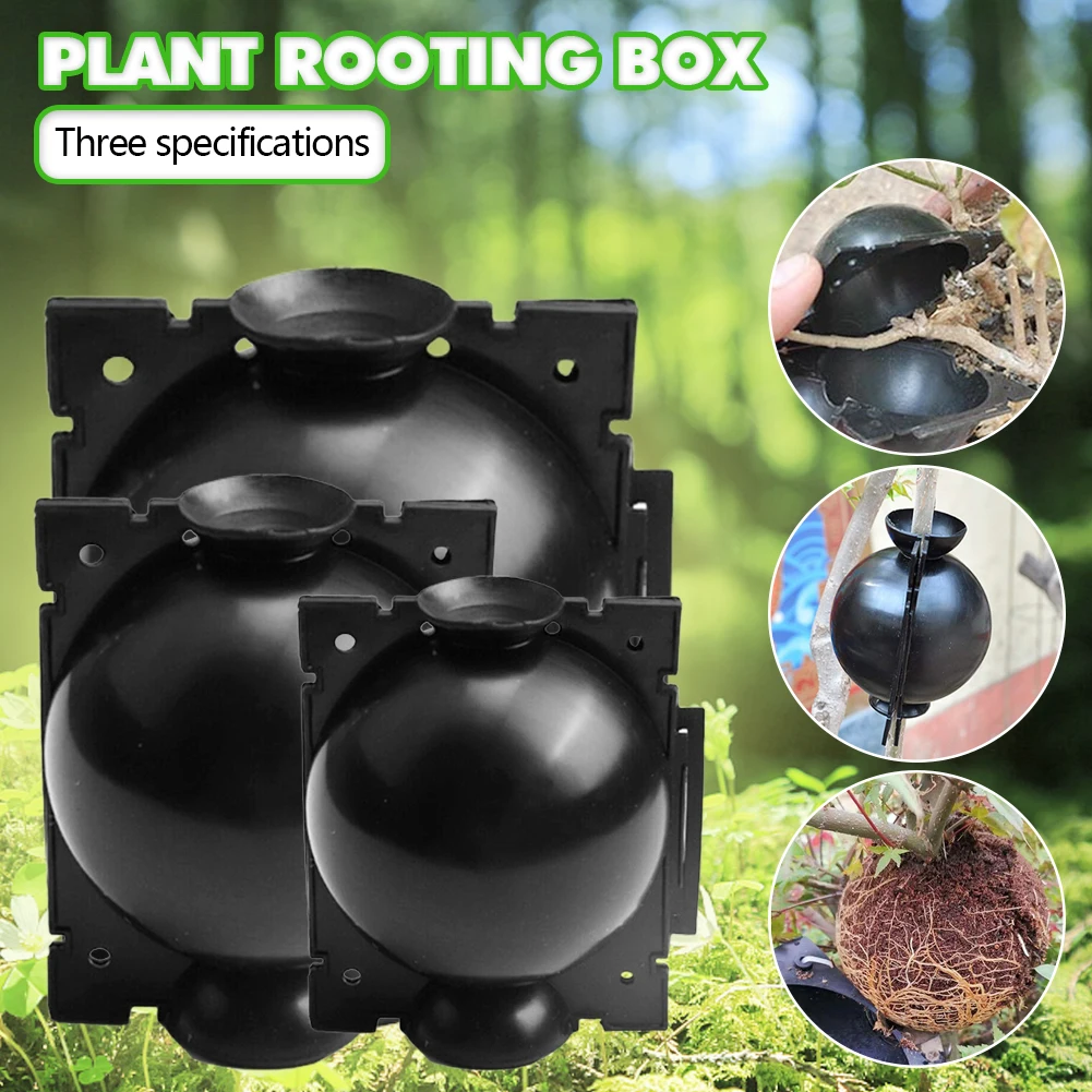 5PCS Plant Rooting Box Air Stratification Device Planting High Pressure Grafting Growth Breeding Ball Garden Sapling Propagation