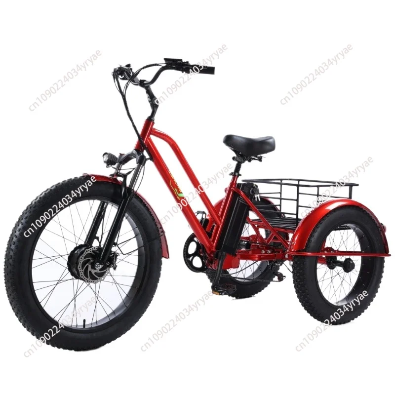 

Electric Tricycle for Adults Long Range Removable Battery 48V 500W 20" Tire Electric Trikes