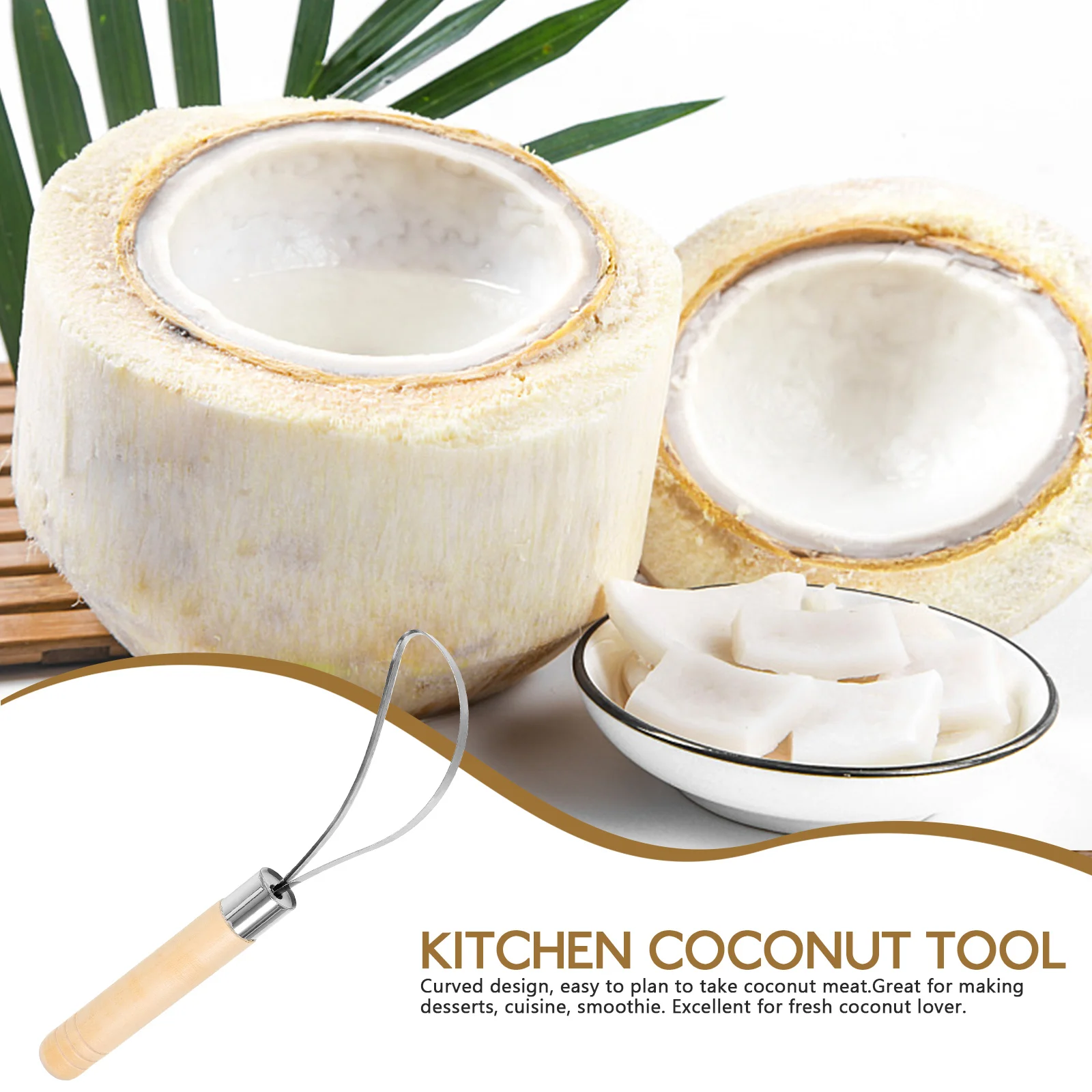 

Coconut Meat Remover Stainless Steel Smooth Grinding Easy Clean Kitchen Tool For Shredding Scales Scraping Coconut Grater