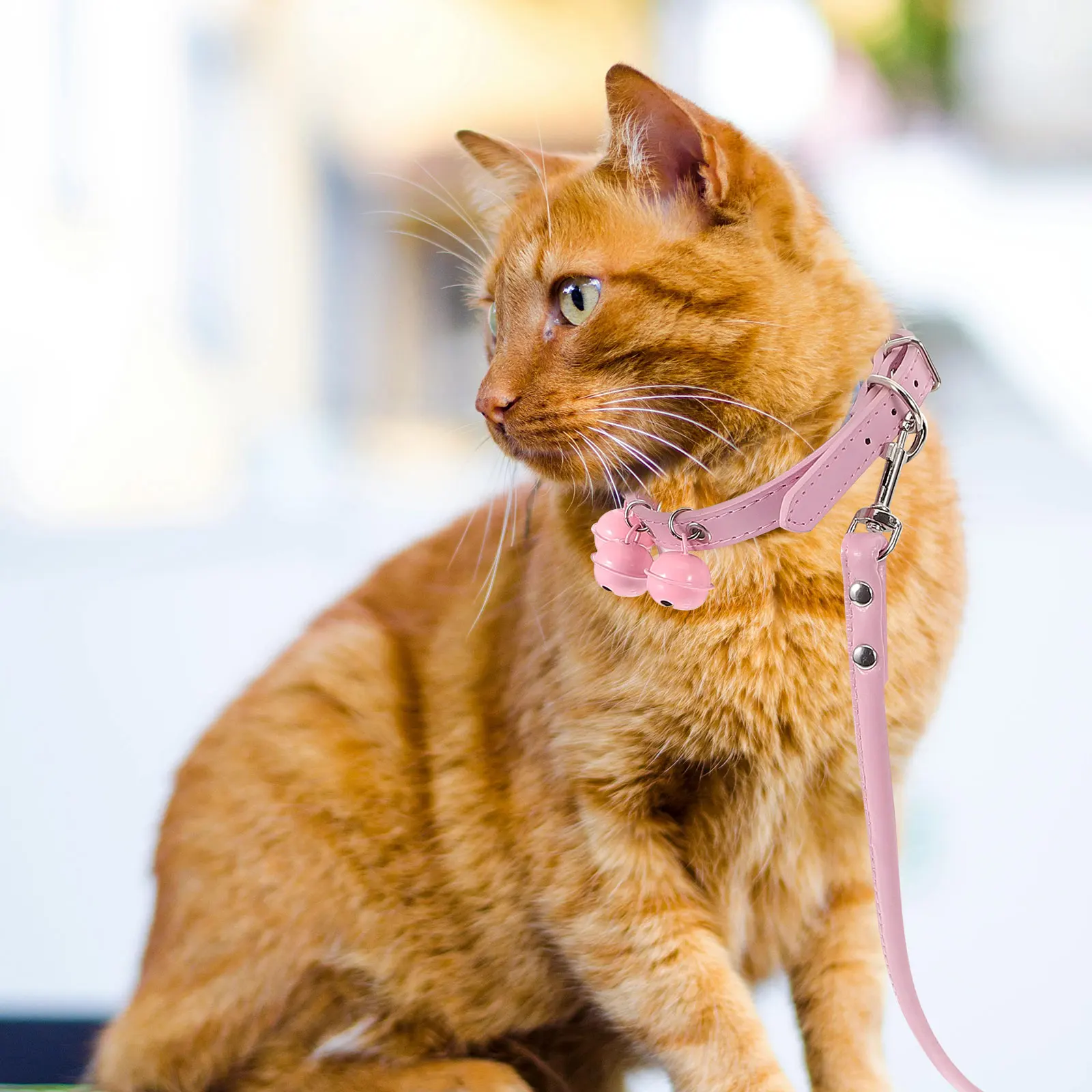 

Pet Dog Collar Leash Strap Puppy Cat Walking Harness Bell Durable Outdoor Pet Collar Pulling Rope Premium Material For Dogs Cats