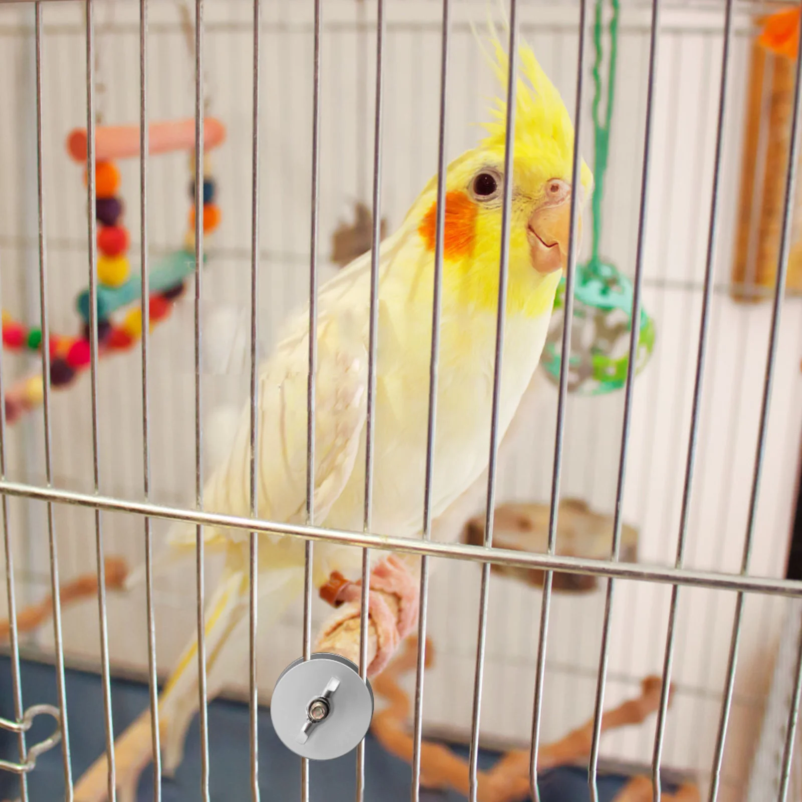 

12Sets Perch Mounting Bolts Birdcage Hardware Screw Kit for Cage Stand Gasket Fixing Dual End Stable Connection