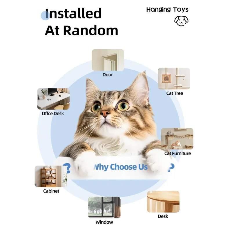 Thumbnail 4 - #1 Best Cat Doors to Buy In 2026