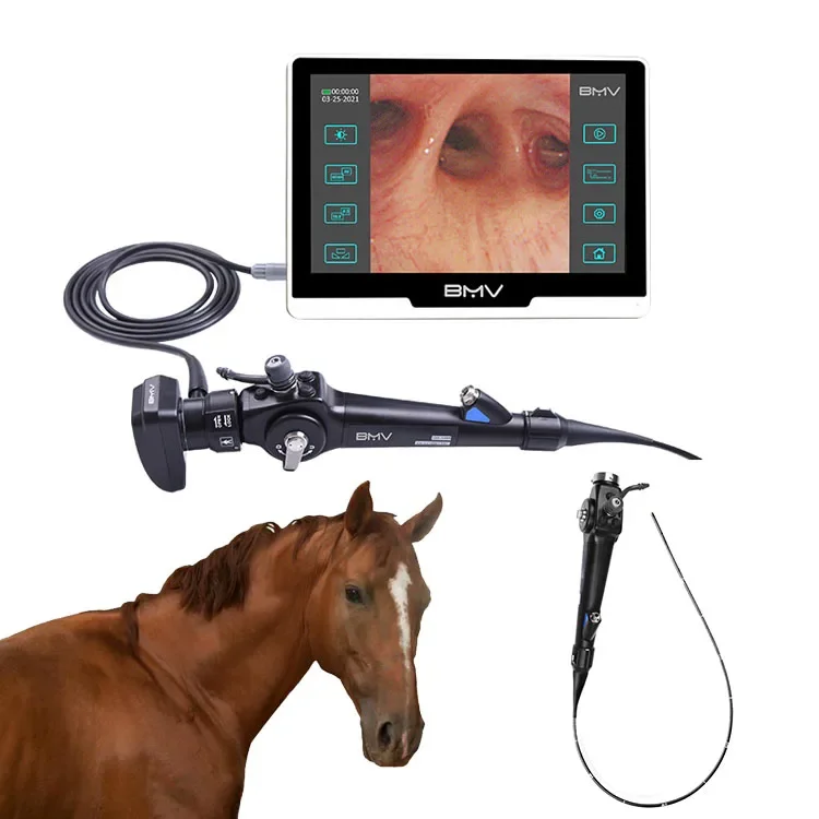 

Vet Endoscopy Ca-m-e-ra System Veterinary Endoscope instrument for Gastroscope Colonoscope