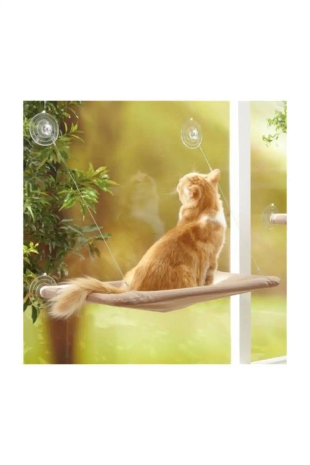 Cat Bed Cushion Hanging on Glass (with sticky Suction Cup) Cat Toys