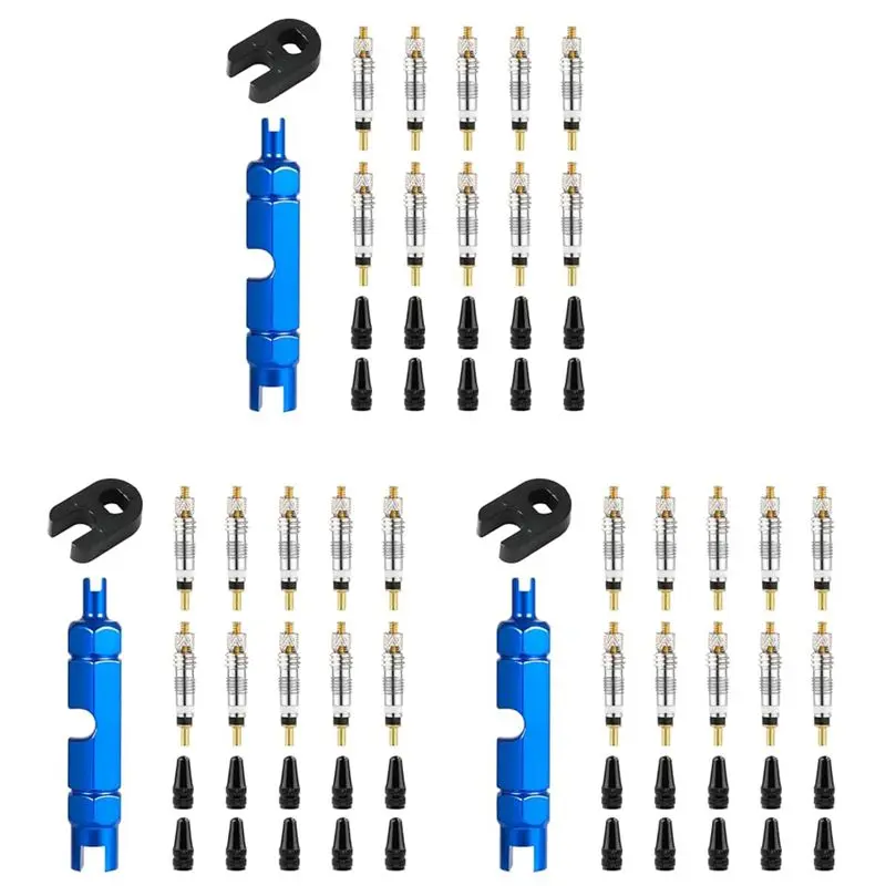 

New Arrival 30Pcs Valve Core For Presta,Valve Core Bike Bicycle Replacement With 2 Valve Core Remover Tools&10 Valve Stem Core C