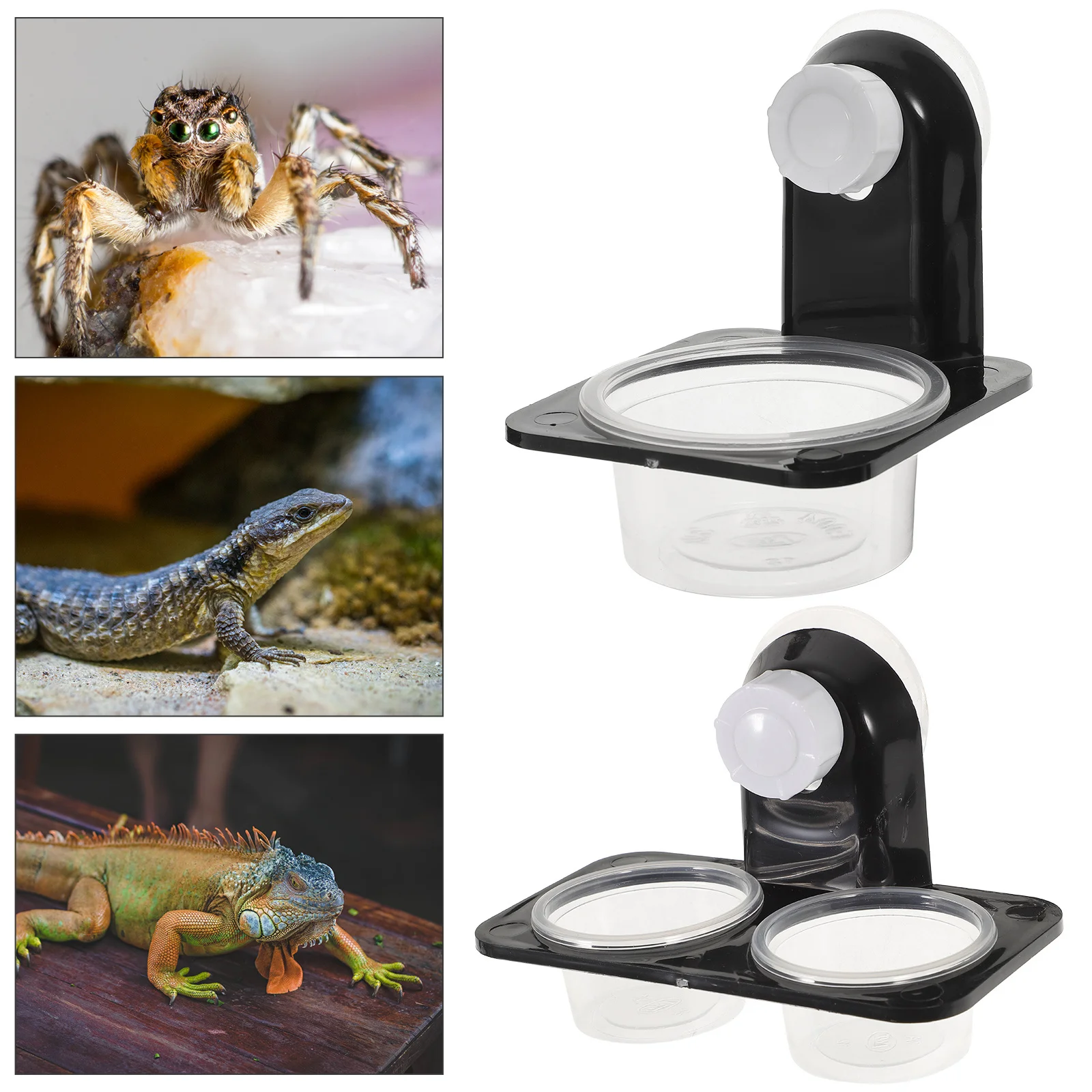 2 مجموعة مغذيات الزواحف 2 مجموعات السحلية الغذاء الحاويات الزحف تغذية الحيوانات الأليفة أداة وعاء الماء ل أبو بريص السلاحف العنكبوت الزواحف