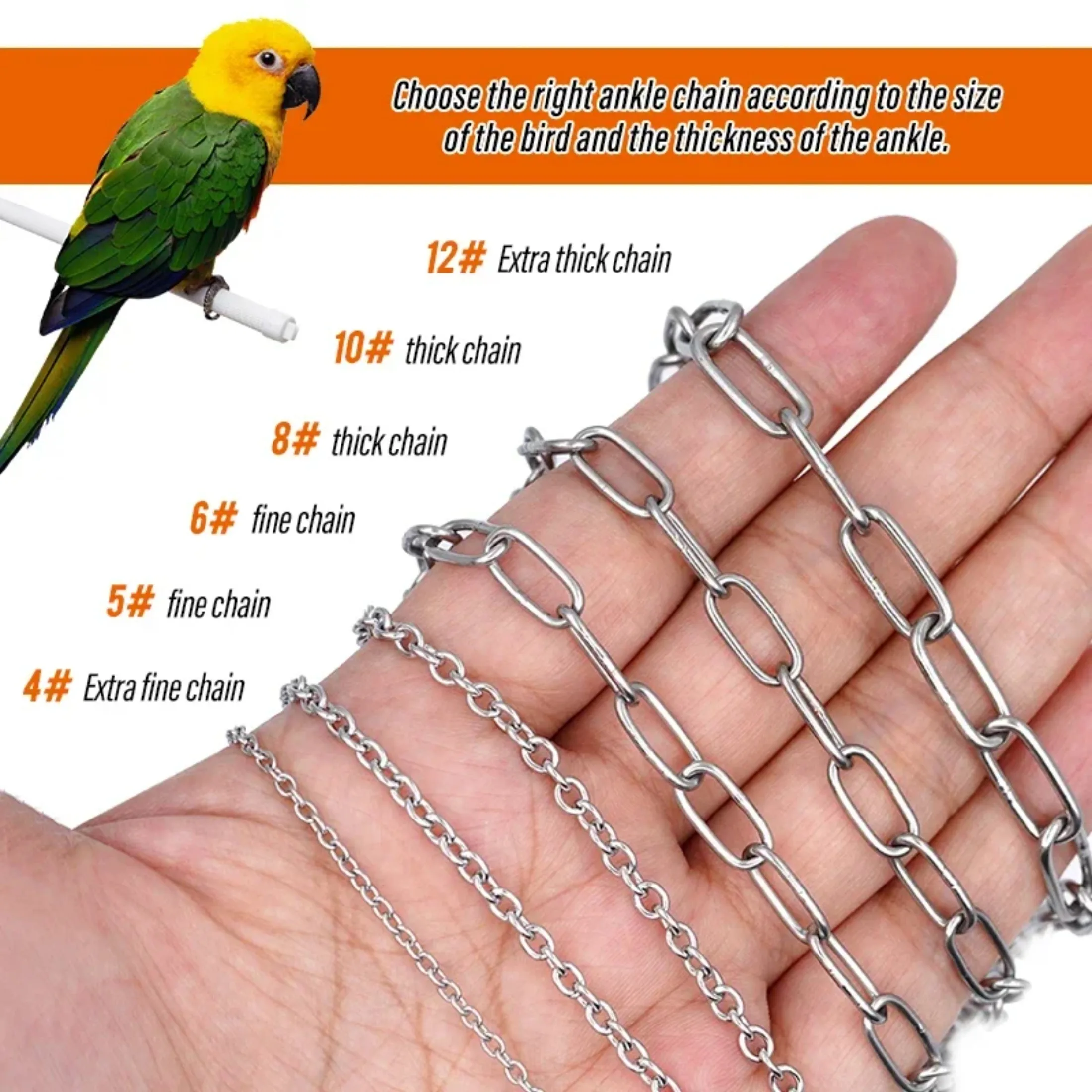 Bird Parrot Foot Chain Stainless Steel Ankle Foot Ring Stand Chain Outdoor Flying Training Starling Pigeon Accessories 앵무새 용품