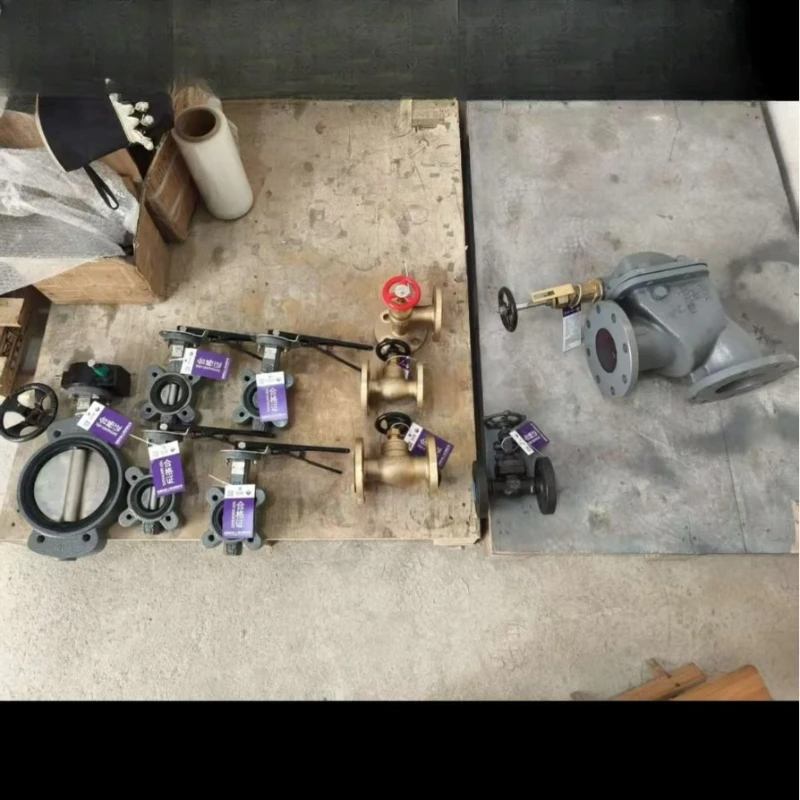 Marine Japanese Sta…