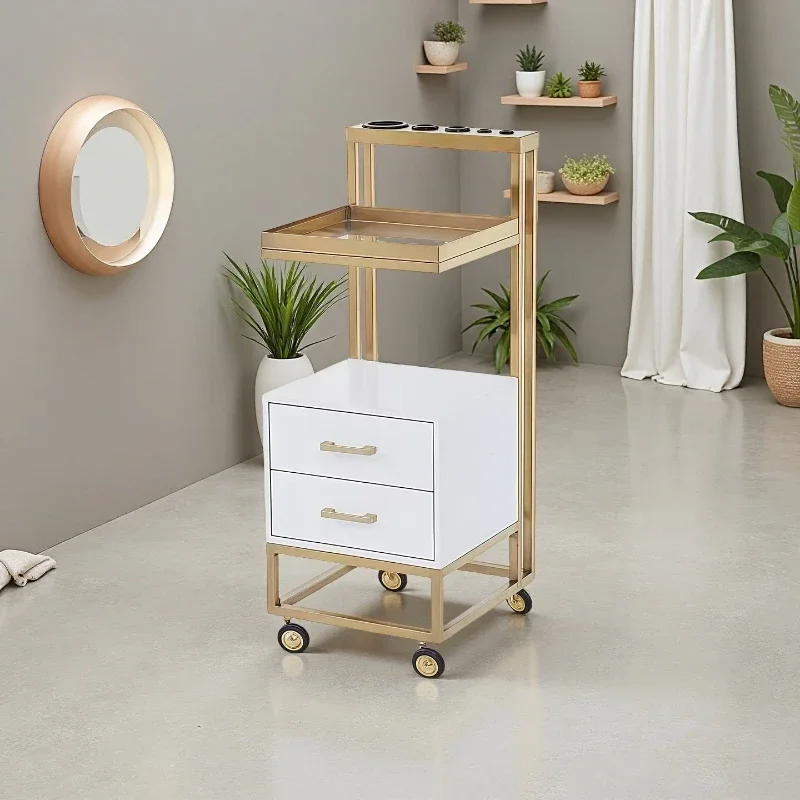 

Convenient Beauty Salon Trolley Barber Shop Special Perming Dyeing Tool Trolley Carro Auxiliar Dental Commercial Furniture