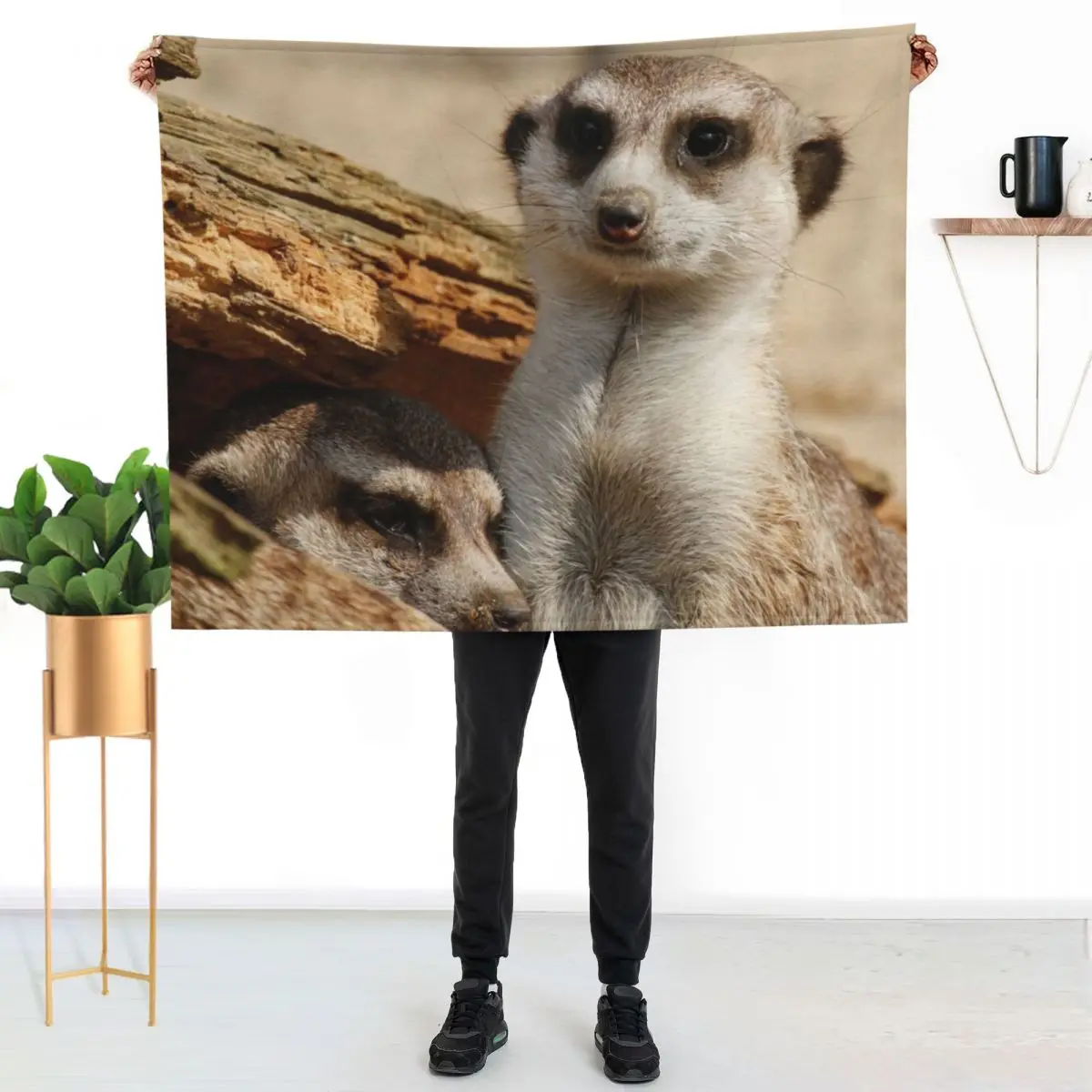 Meerkat 042 Throw Blanket valentine gift ideas warm winter Retros Soft Furrys Plaid Blankets
