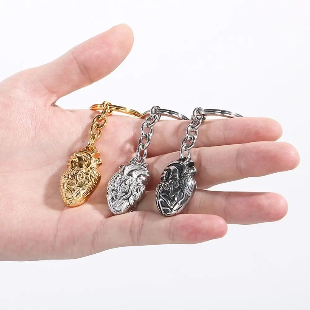 High Quality Heart Shape Car Keychain Anatomy Stainless Steel Charm Keyring Biology Shiny Fashion Pendant Gifts