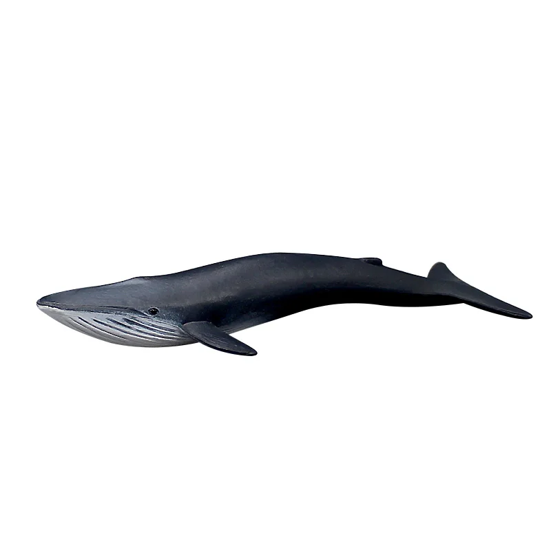 Simulation Marine Fishes Miniature Sea Animal Model Humpback Whale Hammerhead Shark Dolphin Action Figure Mini Figurine Toys