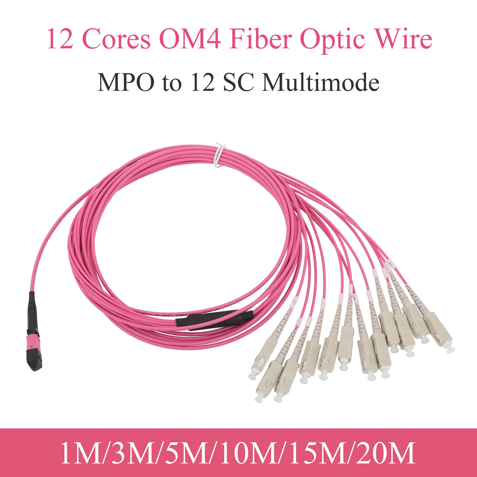 10G Multimode 12-Co…