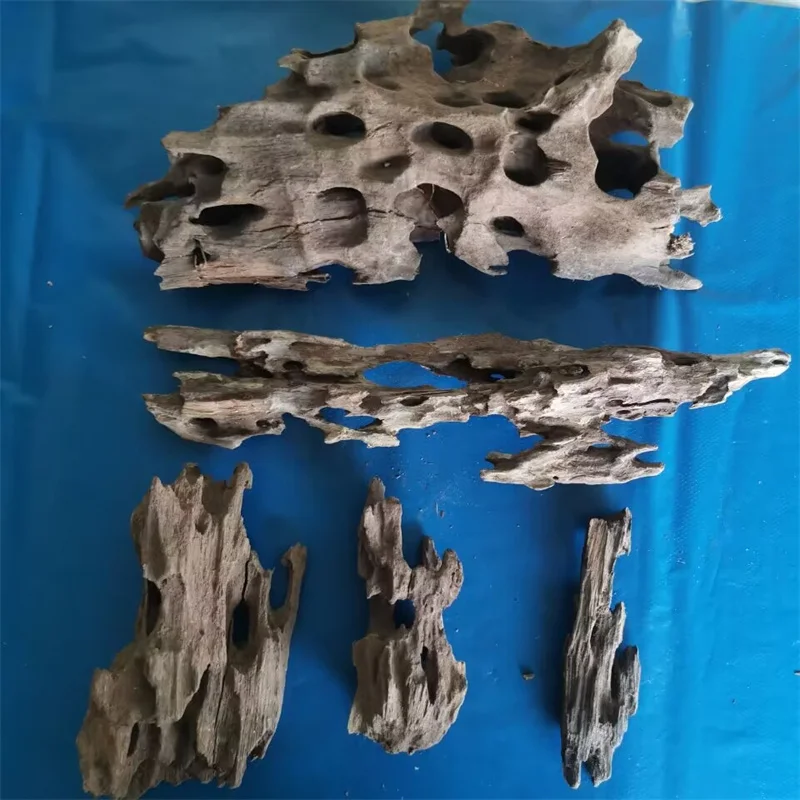 Shrimp Wood FIshtank Drift  wood for Natural Aquariums decors Aquarium Ornament Betta Fish Fish Tank Landscaping  Decoration